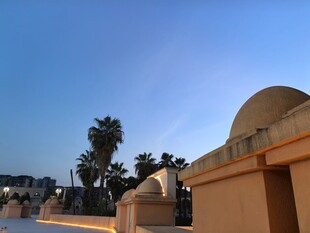 沙漠风格旁的建筑与棕榈树