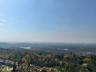 俯瞰葱郁山林与开阔远景