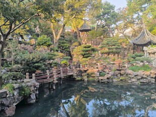 日式园林池塘景观