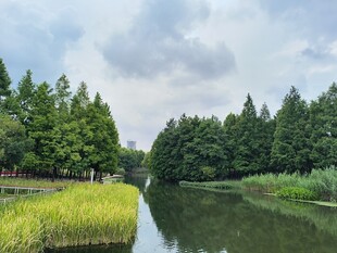 河畔绿野风光