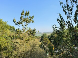 山林绿树蓝天自然景致