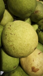 一堆新鲜青皮水果