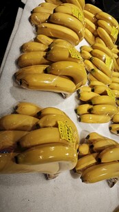 整齐摆放的新鲜黄香蕉