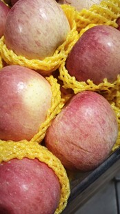 新鲜苹果装于黄色网套中