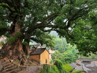 古山村
