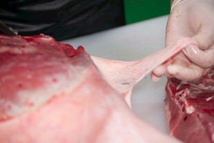 手处理新鲜猪肉