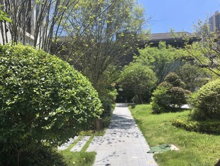 宁静花园小径景观