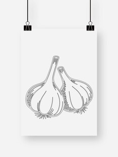 手绘大蒜图案艺术挂画