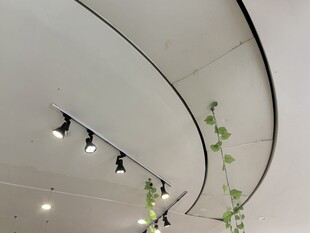 弧形天花板绿植装饰灯具