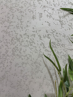 纹理墙面旁的翠绿植物