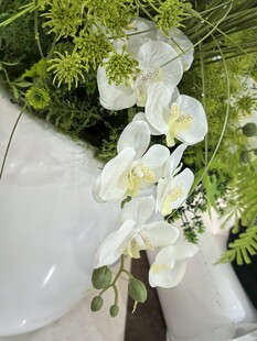 白色仿真兰花与绿植装饰摆件