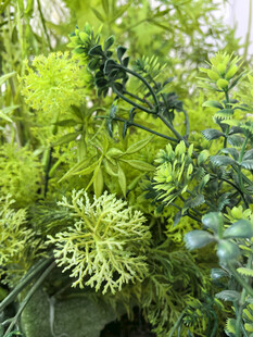 翠绿繁茂的多样仿真植物景观