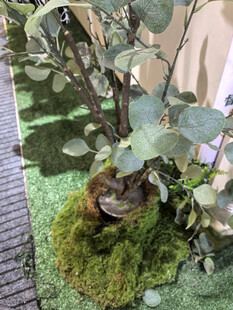 仿真苔藓绿植中的静谧角落