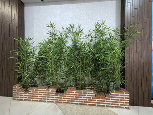 墙边仿真绿植景观