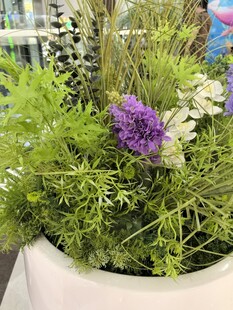 白色花盆中的仿真多彩植物