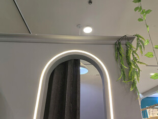 弧形门洞旁的仿真绿植装饰
