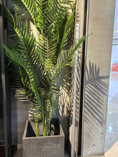 室内绿植盆栽景观