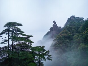 云雾缭绕的山间景致