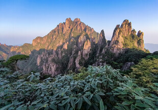 壮丽山景 植被覆盖的奇峰