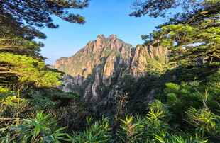 秀丽山峰被葱郁植被环绕