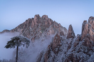 雪覆奇峰 孤松傲立山间
