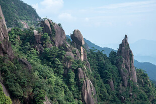 壮丽奇峻的山林景观
