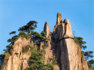 黄山奇峰与苍松景观