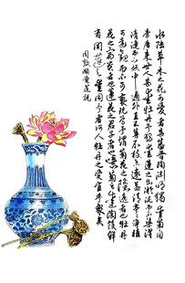 花瓶粉荷图