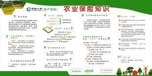 中国人寿宣传栏