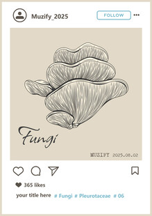 蘑菇素描画