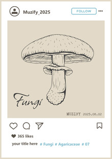 蘑菇素描画
