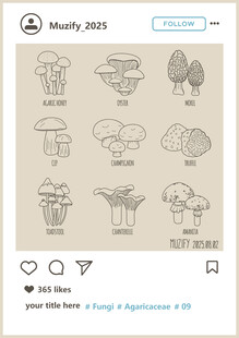 9款入蘑菇图案