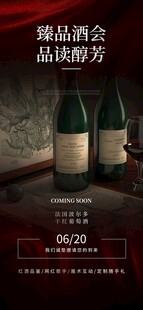 浪漫酒会