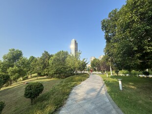 公园小径与远处高塔景观
