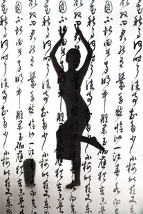 舞动书法