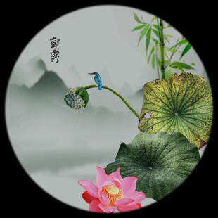 翠鸟荷花图