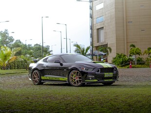 黑色跑车停于绿植旁