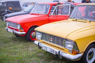 复古汽车齐聚草地