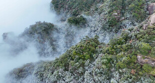 山间云雾缭绕的翠绿景致