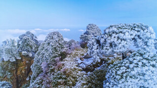 雪覆山林美景
