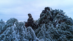 雪覆山林奇峰景观