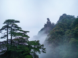 云雾缭绕的山间景致