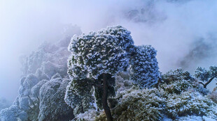 雪覆山峦 云雾缭绕之景