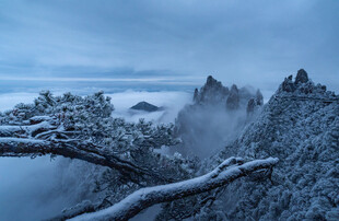 雪覆山林的静谧冬日景象