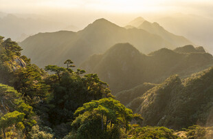 日出下的葱郁山峦