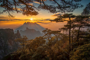 黄山日出山林美景
