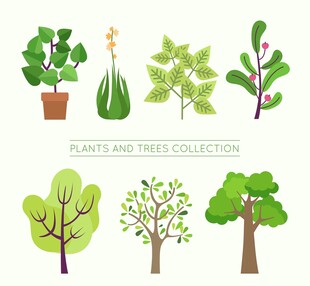 植物与树木集合插画