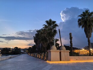 黄昏下的棕榈树景观