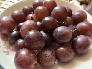 一盘紫葡萄