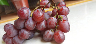 新鲜紫葡萄特写